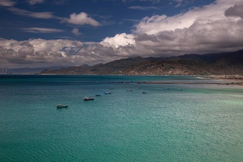 Bay