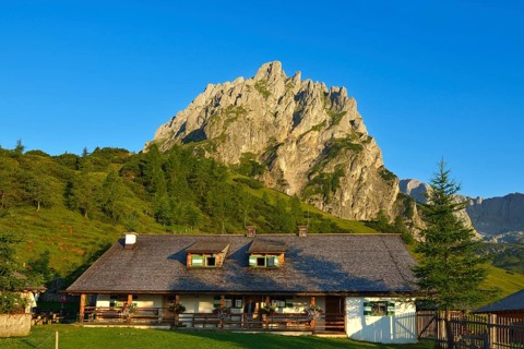 Mitterfeldalm