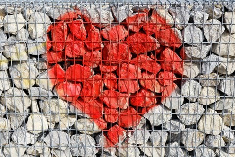 Red heart behind wireframe