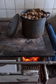 Potatoes in a pot for cattle feed on an old kitchen stove