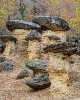 Stone Mushrooms
