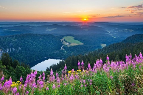 View from Feldberg mountain to lake Feldsee