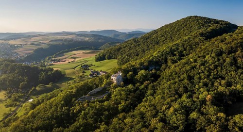 Homburg castle ruins