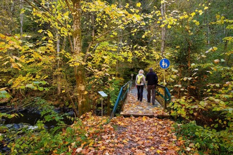 Bridge over Ilz