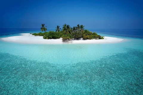 Uninhabited palm island with sandy beach
