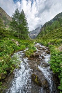 Steinriesenbach on the hiking trail to the Gollinghutte