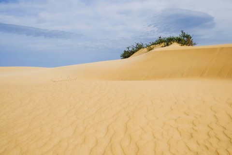 Sand dune