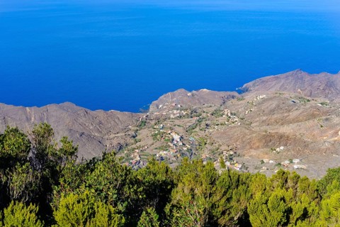 Alojera