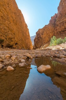 Gorges Toudra or Todgha Gorge