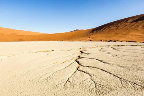Water veins in the dry soil
