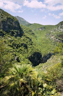 Wooded slopes