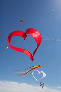 Various kites
