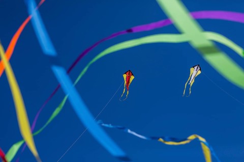 Kites in front of blue skies on the beach