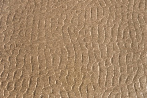 Wave structure on the beach at low tide