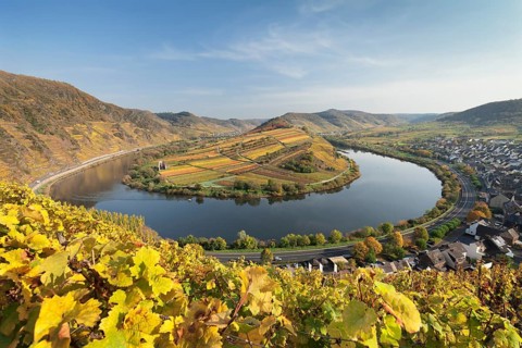 Moselschleife in autumn