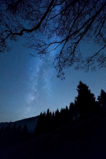 Milky Way over the mountains and forest at Schwagalp