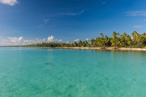 Palm fringed sandy beach in the turquoise waters of Tikehau