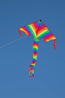 Kite in front of blue sky