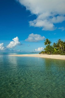 Palm fringed white sand beach in the turquoise waters of Tikehau