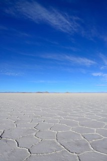 Honeycomb structure on the salt lake