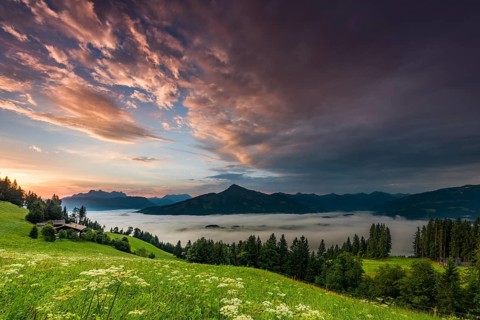 Mountain meadow with mountain top with sea of fog at sunrise