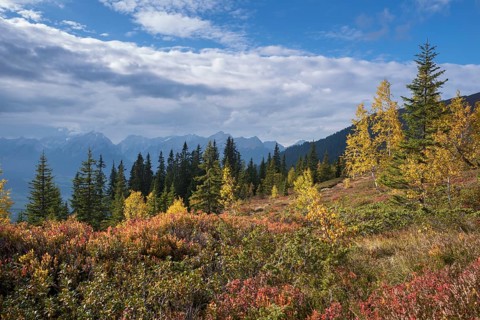 Naunz in autumn