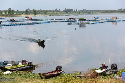 Freshwater fish farm in Lam Pao River