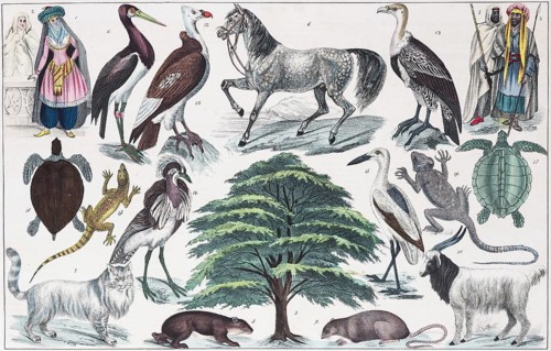 Zone-paintings West Asia