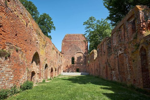 Eldena Monastery Ruin in Greifswald