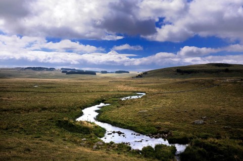 Small stream crossing pasture under a stormy sky