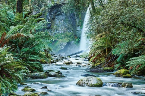 Hopetoun Falls in the rainforest