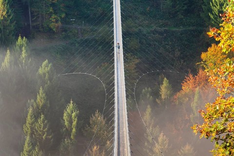 Hanging rope bridge Geierlay