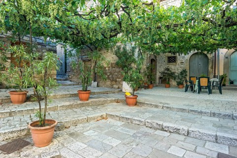 Pergola with grape vines in an alley