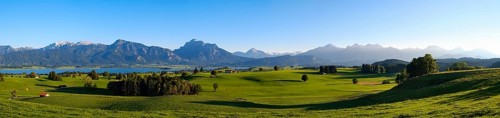 Forggensee