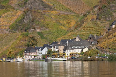 View over the Moselle to Beilstein in autumn
