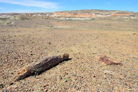 Desert landscape with petrified tree trunk