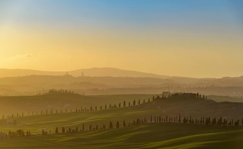 Sunset over hilly landscape with pine avenue