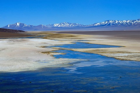 Laguna Santa Rosa with the Nevado Tres Cruces volcano