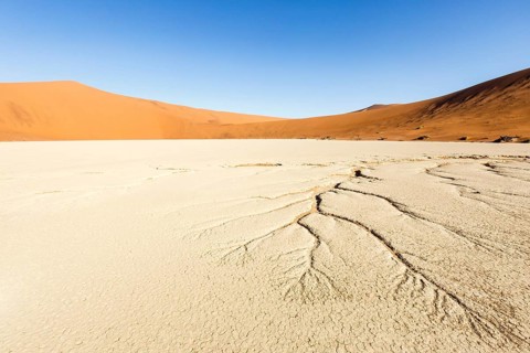 Water veins in the dry soil