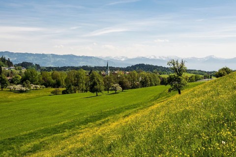 Blooming spring meadow and village