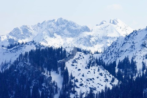 Austrian and Bavarian Schinder in winter