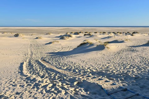 Dune crossing with footprints and Kniepsand to the horizon