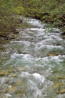 Gossnitzbach