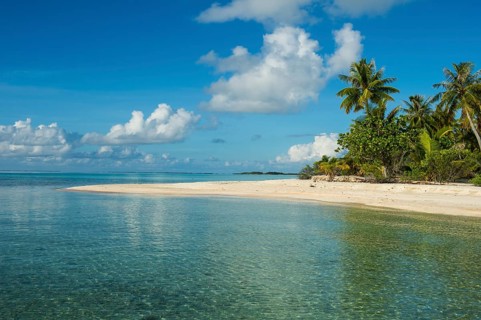 Palm fringed white sand beach in the turquoise waters of Tikehau