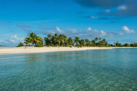 Palm fringed white sand beach in the turquoise waters of Tikehau