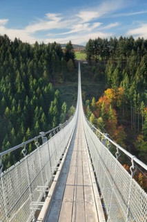 Hanging rope bridge Geierlay