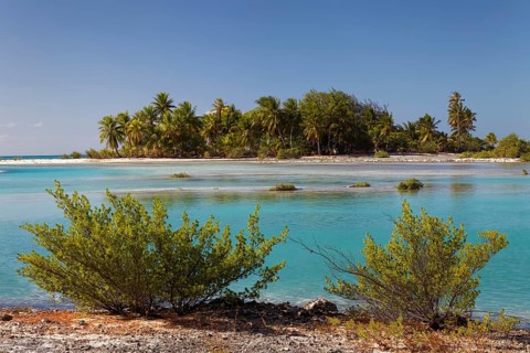 Island landscape