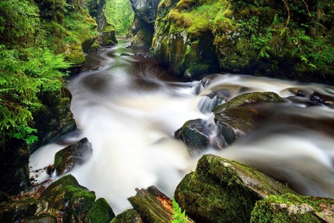 Haslach Gorge
