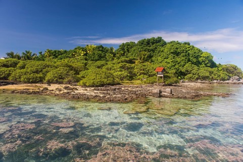 Clear waters