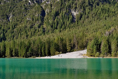 View over the emerald green lake Dobbiaco with mountain forest and Murengang
